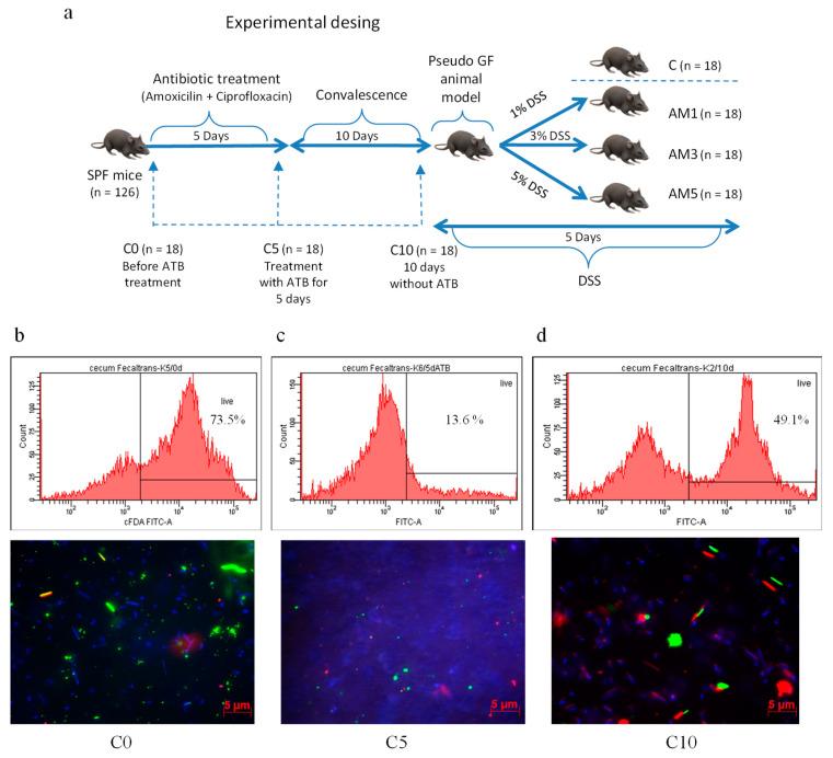 https://cdn.ncbi.nlm.nih.gov/pmc/blobs/c4c5/7761014/454054858e7d/cells-09-02571-g001.jpg