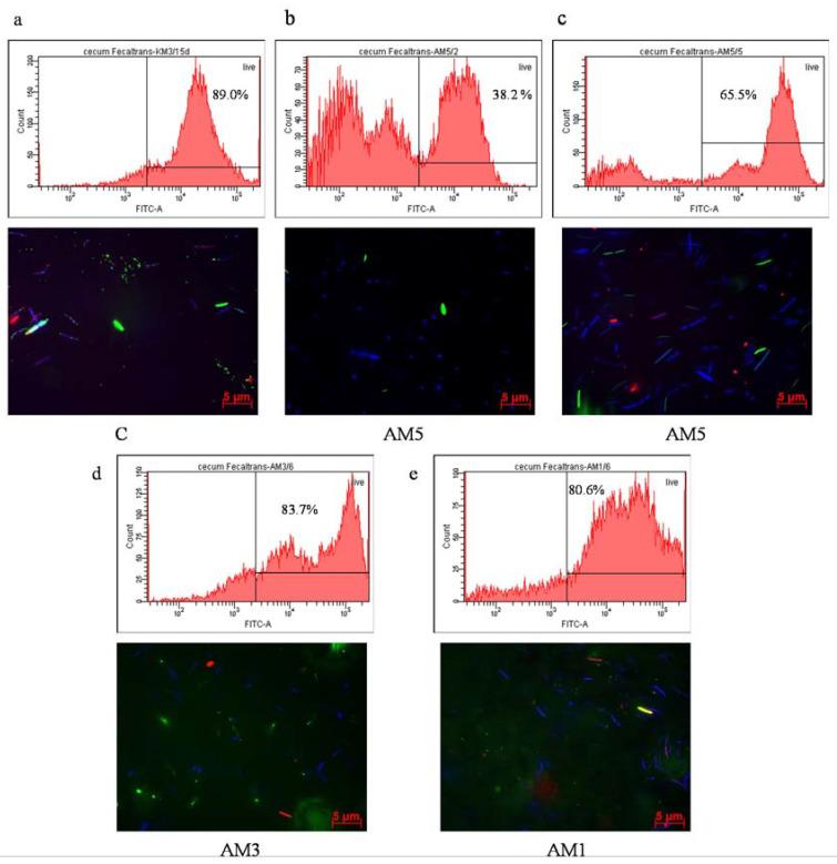 https://cdn.ncbi.nlm.nih.gov/pmc/blobs/c4c5/7761014/634acefe0003/cells-09-02571-g007.jpg