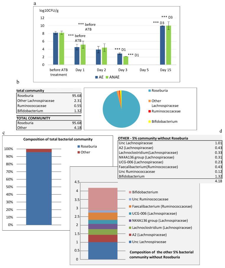 https://cdn.ncbi.nlm.nih.gov/pmc/blobs/c4c5/7761014/b611708ba882/cells-09-02571-g002.jpg