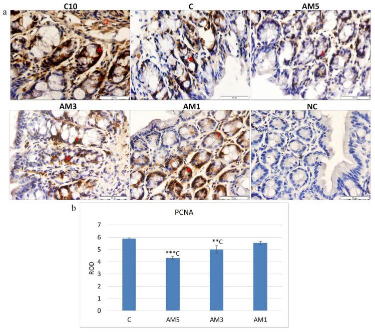 https://cdn.ncbi.nlm.nih.gov/pmc/blobs/c4c5/7761014/cabeb2b2e5cc/cells-09-02571-g005.jpg