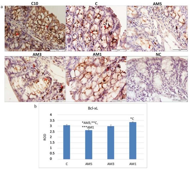 https://cdn.ncbi.nlm.nih.gov/pmc/blobs/c4c5/7761014/f292b1ccde81/cells-09-02571-g006.jpg