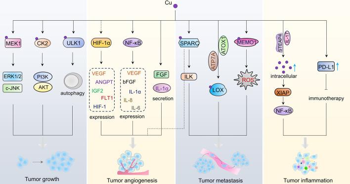 https://cdn.ncbi.nlm.nih.gov/pmc/blobs/c4c7/11201306/adf1a8c29617/11658_2024_608_Fig3_HTML.jpg