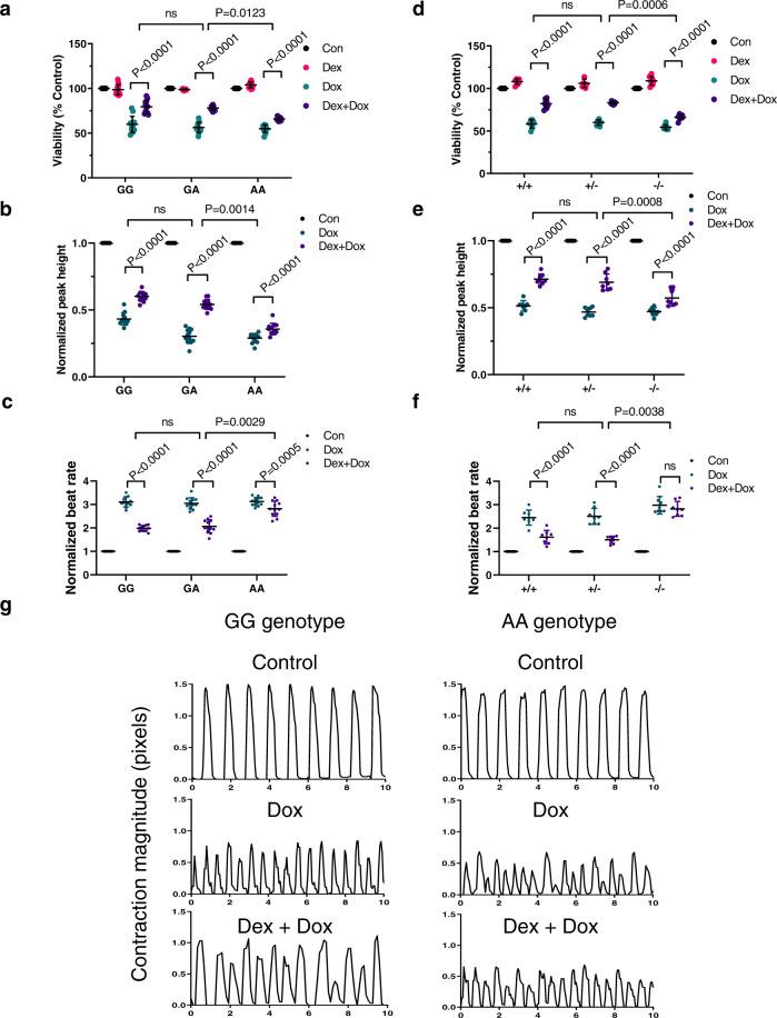 https://cdn.ncbi.nlm.nih.gov/pmc/blobs/c4c7/9684507/5aebac3e2e49/41467_2022_34917_Fig3_HTML.jpg