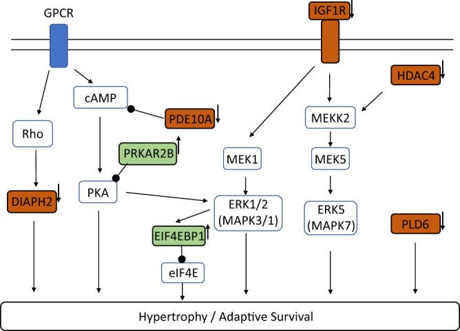 https://cdn.ncbi.nlm.nih.gov/pmc/blobs/c4c7/9684507/70781ab74d64/41467_2022_34917_Fig6_HTML.jpg