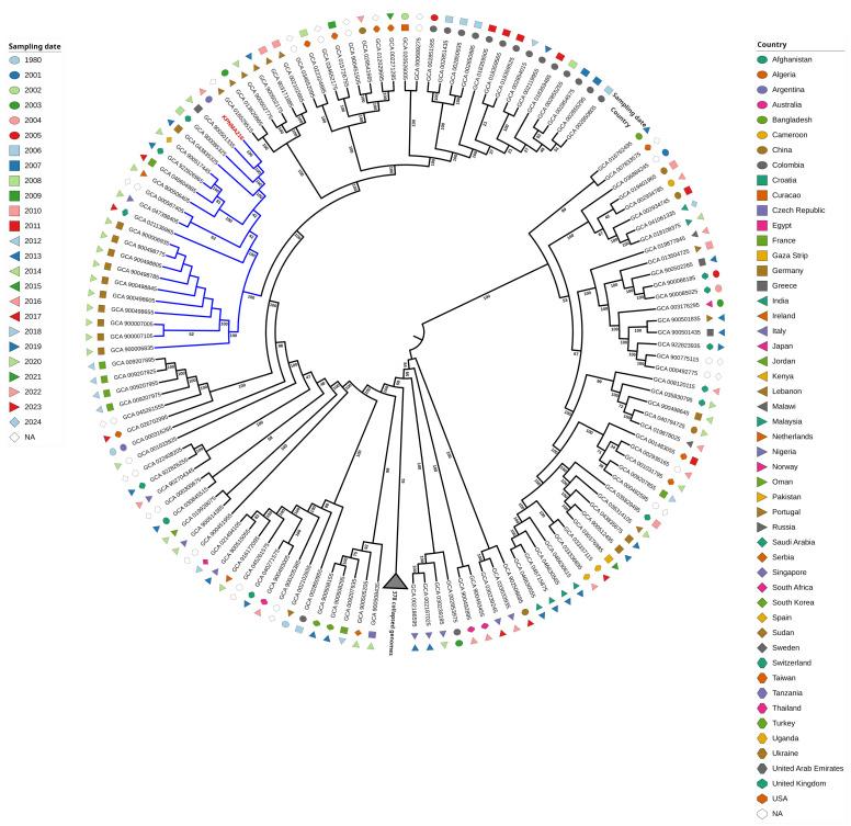 https://cdn.ncbi.nlm.nih.gov/pmc/blobs/c4ca/12382882/e6a4d1d194d4/antibiotics-14-00832-g001.jpg
