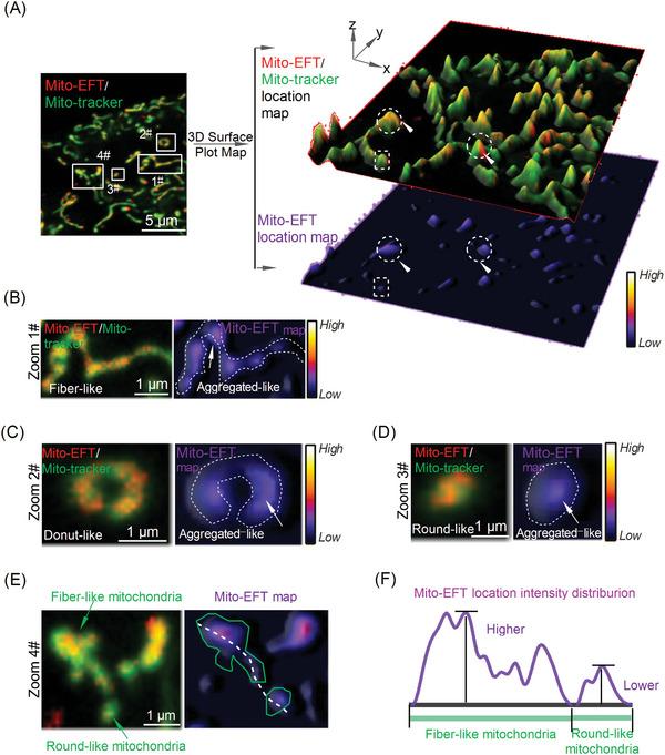 https://cdn.ncbi.nlm.nih.gov/pmc/blobs/c4cb/11884618/07b88816ca36/ADVS-12-2410561-g002.jpg