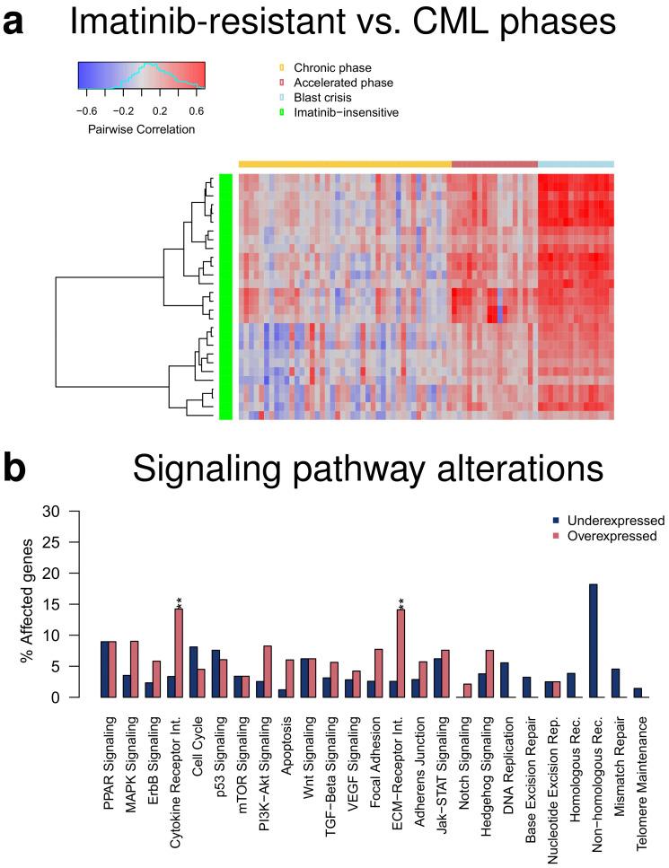https://cdn.ncbi.nlm.nih.gov/pmc/blobs/c4cd/8750437/d31994135f10/cancers-14-00256-g006.jpg