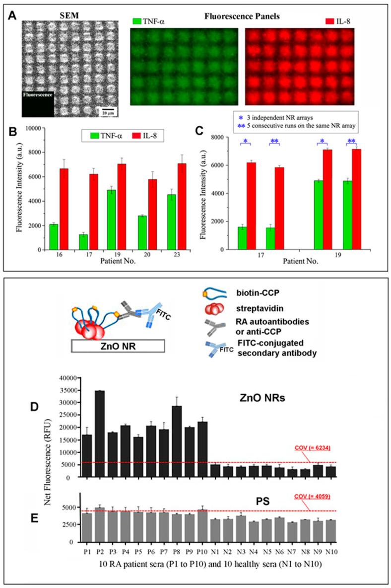 https://cdn.ncbi.nlm.nih.gov/pmc/blobs/c4ce/11506539/2be0c78f26ac/biosensors-14-00480-g004.jpg