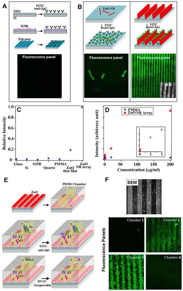 https://cdn.ncbi.nlm.nih.gov/pmc/blobs/c4ce/11506539/2ed7b7ea7b76/biosensors-14-00480-g003.jpg