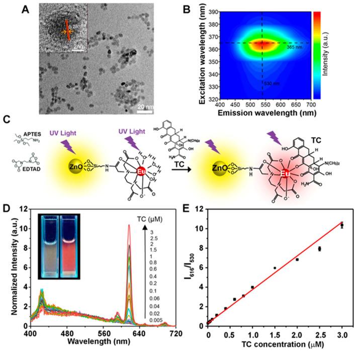 https://cdn.ncbi.nlm.nih.gov/pmc/blobs/c4ce/11506539/70478ce219e5/biosensors-14-00480-g002.jpg