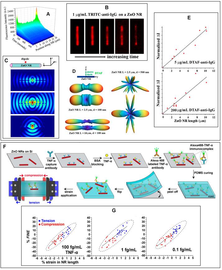 https://cdn.ncbi.nlm.nih.gov/pmc/blobs/c4ce/11506539/93642f6eeb8c/biosensors-14-00480-g006.jpg