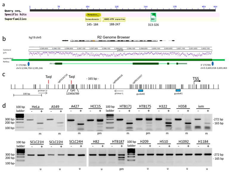https://cdn.ncbi.nlm.nih.gov/pmc/blobs/c4cf/7760495/1df4cdb834c7/cancers-12-03528-g001.jpg