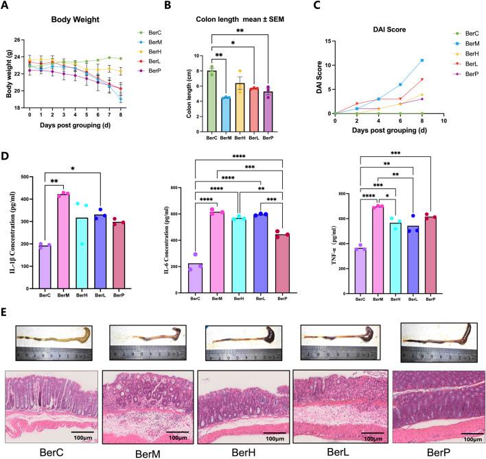 https://cdn.ncbi.nlm.nih.gov/pmc/blobs/c4d1/11540792/0e67b916a999/fphar-15-1494210-g001.jpg