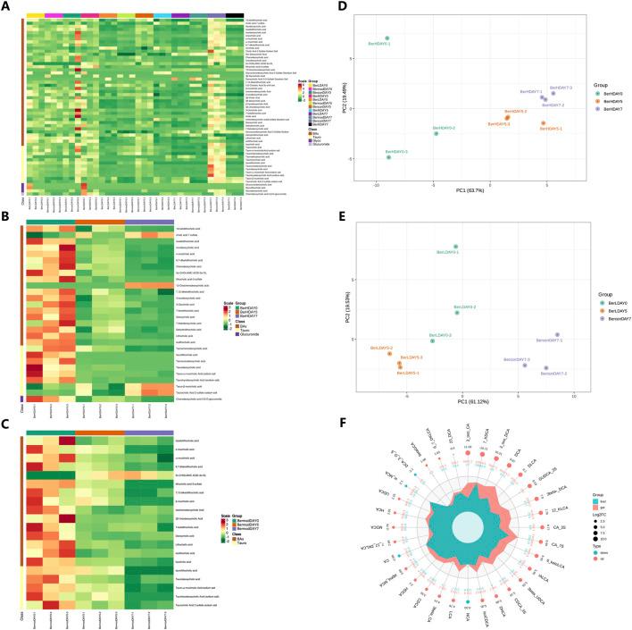 https://cdn.ncbi.nlm.nih.gov/pmc/blobs/c4d1/11540792/fb677ded0702/fphar-15-1494210-g005.jpg
