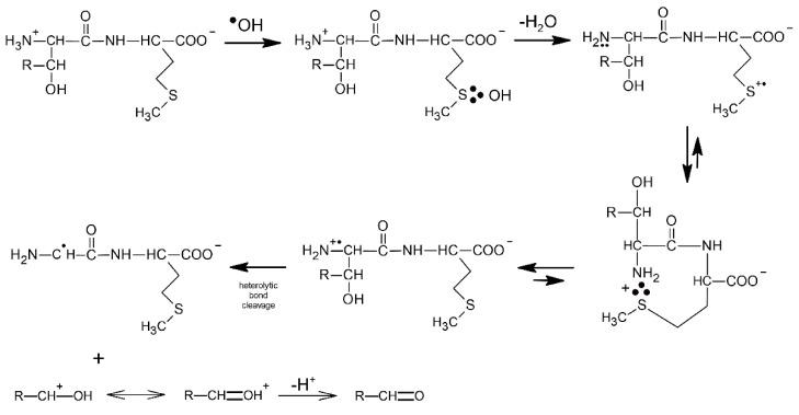 https://cdn.ncbi.nlm.nih.gov/pmc/blobs/c4d1/8915190/84ec6e2bc464/molecules-27-01028-sch009.jpg