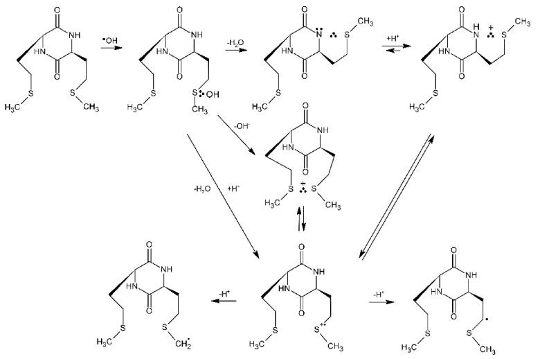 https://cdn.ncbi.nlm.nih.gov/pmc/blobs/c4d1/8915190/a5184e9efc71/molecules-27-01028-sch013.jpg