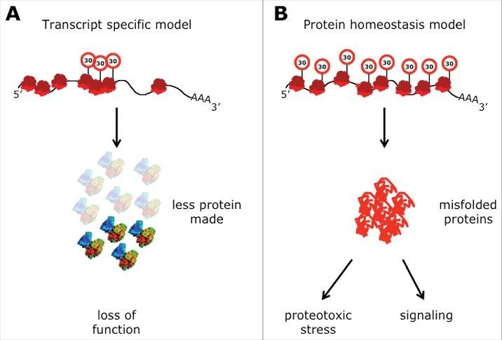 https://cdn.ncbi.nlm.nih.gov/pmc/blobs/c4d2/5699542/0a8025a97d6e/krnb-14-09-1295204-g004.jpg