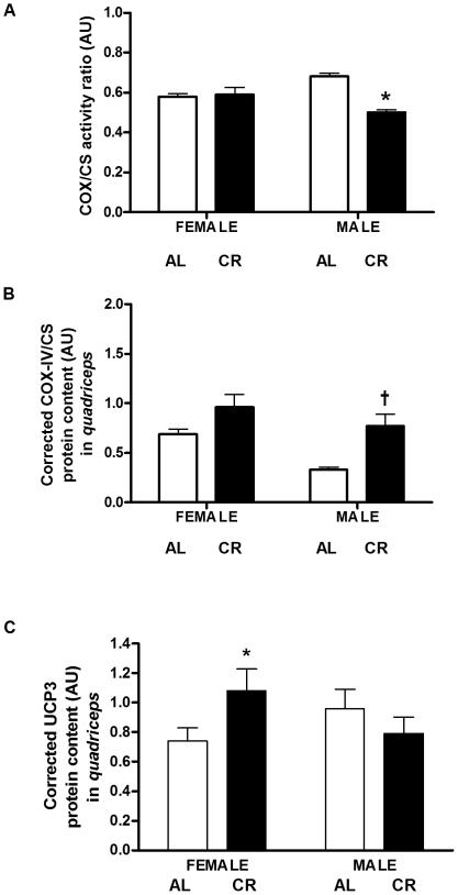 https://cdn.ncbi.nlm.nih.gov/pmc/blobs/c4d3/2827549/07ff7ecfc30b/pone.0009386.g006.jpg