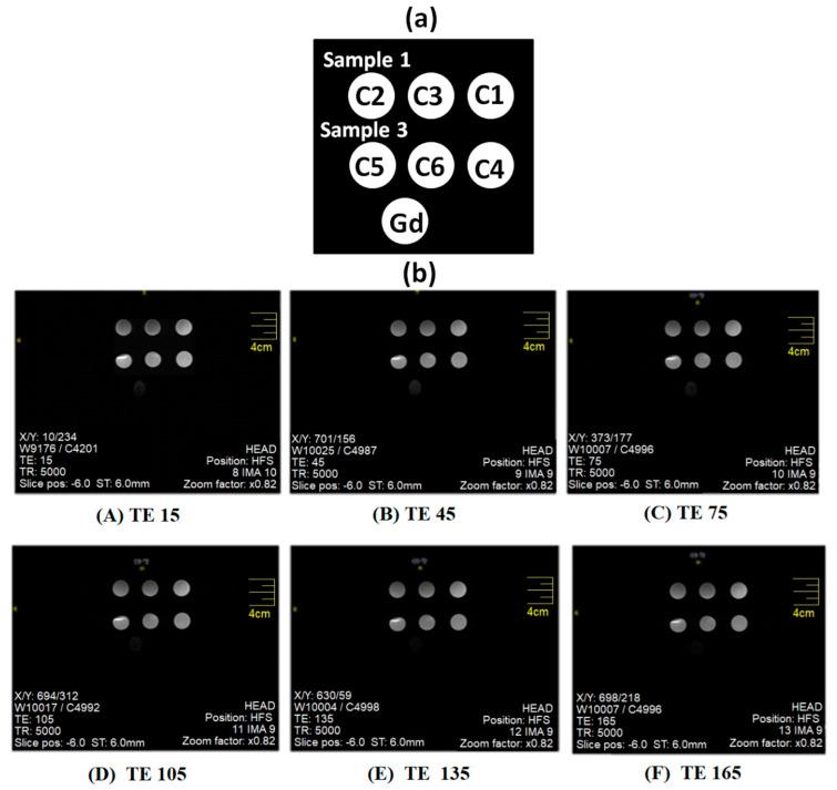 https://cdn.ncbi.nlm.nih.gov/pmc/blobs/c4d4/7692372/67cd49dce717/nanomaterials-10-02182-g005.jpg