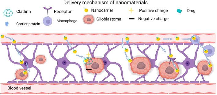 https://cdn.ncbi.nlm.nih.gov/pmc/blobs/c4d7/9780288/c8593212fd85/fchem-10-1063152-g001.jpg