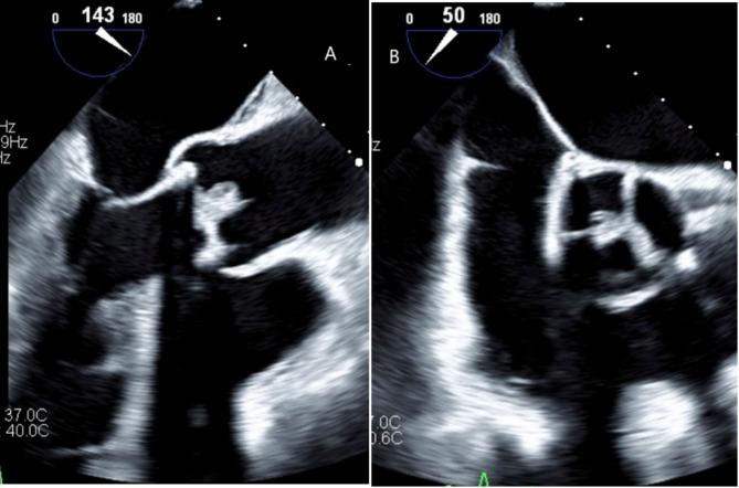 https://cdn.ncbi.nlm.nih.gov/pmc/blobs/c4d8/12007258/898664e2de4b/13019_2025_3377_Fig2_HTML.jpg