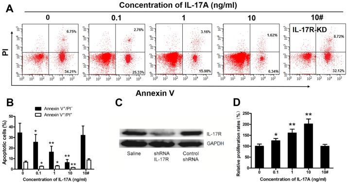 https://cdn.ncbi.nlm.nih.gov/pmc/blobs/c4d8/5873833/a9401080caa2/IJO-52-05-1528-g04.jpg
