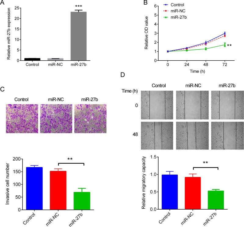 https://cdn.ncbi.nlm.nih.gov/pmc/blobs/c4da/7840835/8f60a02d7a52/OR-25-147-g002.jpg
