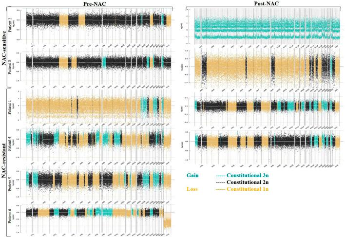 https://cdn.ncbi.nlm.nih.gov/pmc/blobs/c4dc/9355329/4dba93b56869/fgene-13-938985-g001.jpg