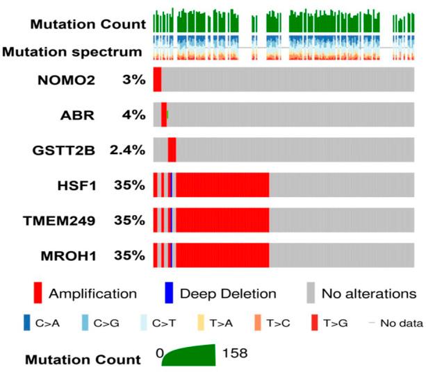 https://cdn.ncbi.nlm.nih.gov/pmc/blobs/c4dc/9355329/90869fc1275e/fgene-13-938985-g004.jpg