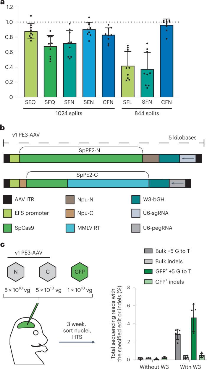 https://cdn.ncbi.nlm.nih.gov/pmc/blobs/c4dd/10869272/1c21c0a5fa7d/41587_2023_1758_Fig1_HTML.jpg