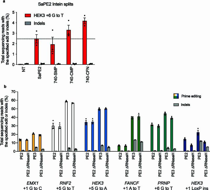 https://cdn.ncbi.nlm.nih.gov/pmc/blobs/c4dd/10869272/4bc83353b216/41587_2023_1758_Fig11_ESM.jpg