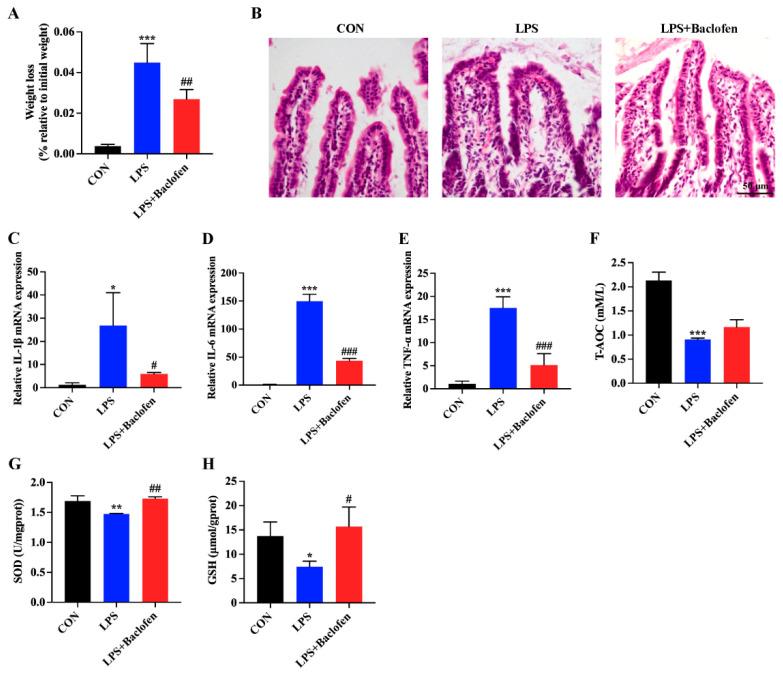https://cdn.ncbi.nlm.nih.gov/pmc/blobs/c4dd/11428452/139bf4d38941/antioxidants-13-01141-g004.jpg