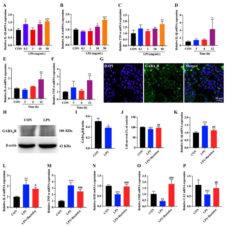 https://cdn.ncbi.nlm.nih.gov/pmc/blobs/c4dd/11428452/5824376c865d/antioxidants-13-01141-g005.jpg