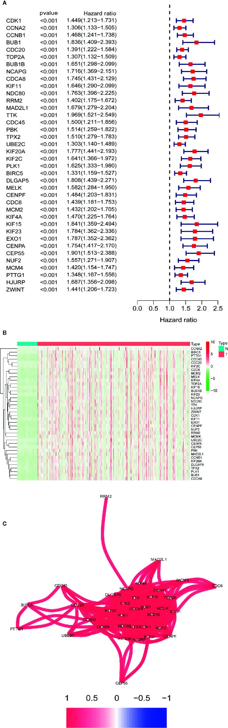 https://cdn.ncbi.nlm.nih.gov/pmc/blobs/c4de/7994902/0979541683ae/fonc-11-626654-g005.jpg
