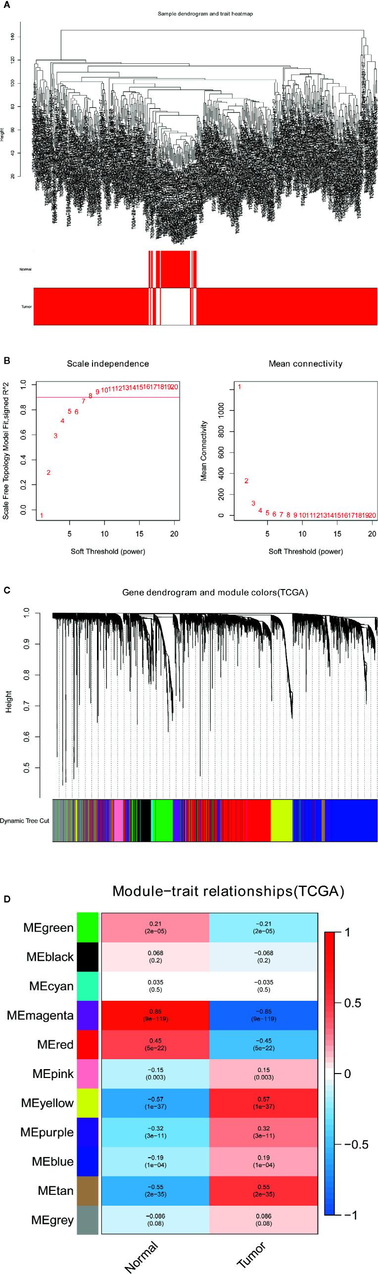 https://cdn.ncbi.nlm.nih.gov/pmc/blobs/c4de/7994902/f85c2bb387d1/fonc-11-626654-g002.jpg