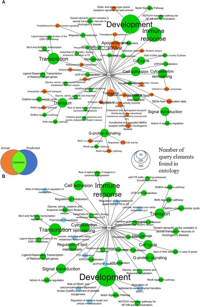 https://cdn.ncbi.nlm.nih.gov/pmc/blobs/c4df/6176017/13553aa78bbf/fphar-09-01072-g003.jpg