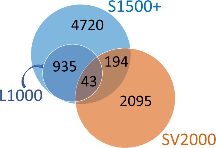 https://cdn.ncbi.nlm.nih.gov/pmc/blobs/c4df/6176017/9e799de11452/fphar-09-01072-g006.jpg