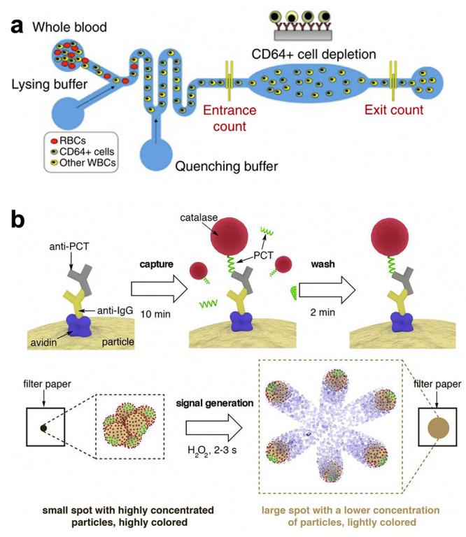 https://cdn.ncbi.nlm.nih.gov/pmc/blobs/c4e5/8637593/a8a895678a39/ao1c04788_0004.jpg