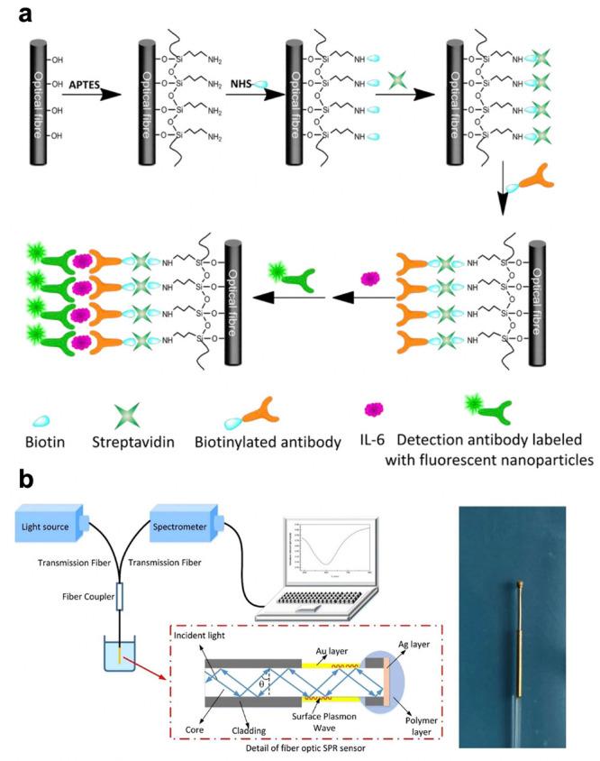 https://cdn.ncbi.nlm.nih.gov/pmc/blobs/c4e5/8637593/bb00981b2b5a/ao1c04788_0003.jpg