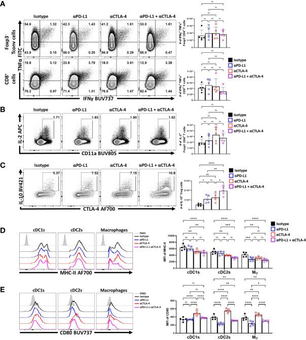 https://cdn.ncbi.nlm.nih.gov/pmc/blobs/c4e6/10028286/87b63718d906/fimmu-14-997376-g006.jpg