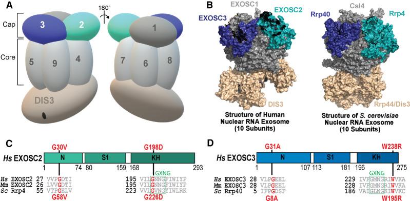 https://cdn.ncbi.nlm.nih.gov/pmc/blobs/c4e6/8370739/d65293675da0/1046f01.jpg