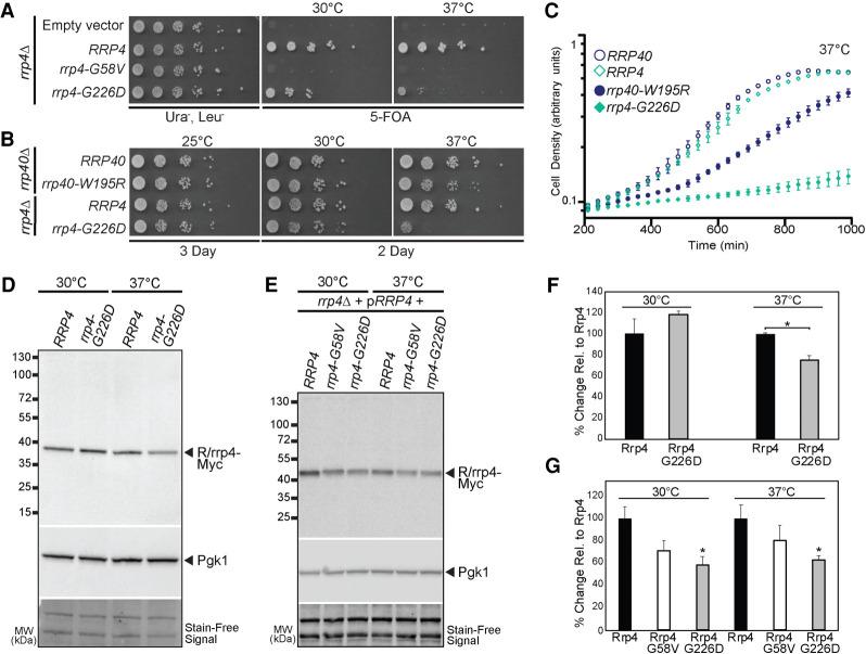 https://cdn.ncbi.nlm.nih.gov/pmc/blobs/c4e6/8370739/e5db048399ac/1046f03.jpg