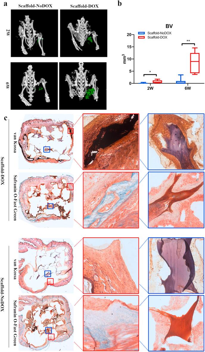 https://cdn.ncbi.nlm.nih.gov/pmc/blobs/c4e7/7658329/38efab0e11ac/gr6.jpg