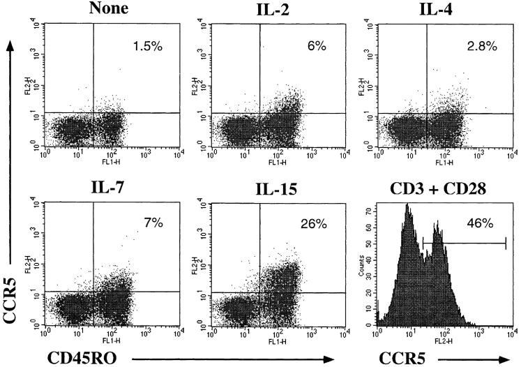 https://cdn.ncbi.nlm.nih.gov/pmc/blobs/c4e9/2193071/ad6395bf83ab/JEM990086.f8.jpg