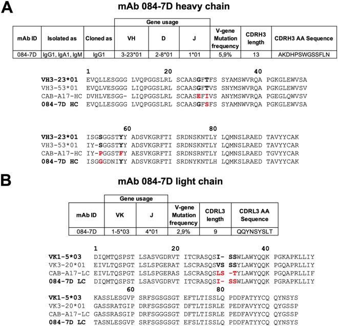 https://cdn.ncbi.nlm.nih.gov/pmc/blobs/c4e9/9364786/89f3e4bef777/jvi.00558-22-f004.jpg