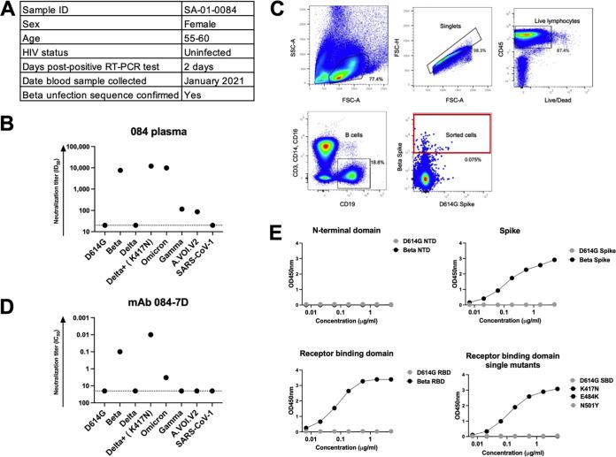 https://cdn.ncbi.nlm.nih.gov/pmc/blobs/c4e9/9364786/d37339d81829/jvi.00558-22-f002.jpg