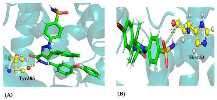 https://cdn.ncbi.nlm.nih.gov/pmc/blobs/c4ea/11048033/5e72fd06ca69/biomedicines-12-00788-g002.jpg
