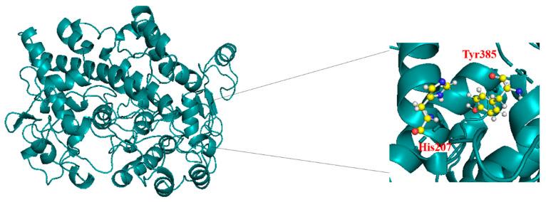 https://cdn.ncbi.nlm.nih.gov/pmc/blobs/c4ea/11048033/efa66d307a35/biomedicines-12-00788-g001.jpg