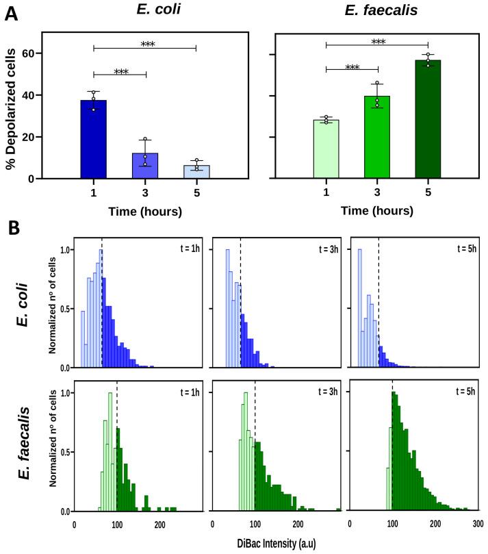 https://cdn.ncbi.nlm.nih.gov/pmc/blobs/c4ea/11172653/5c045e288cf5/ijms-25-06233-g002.jpg
