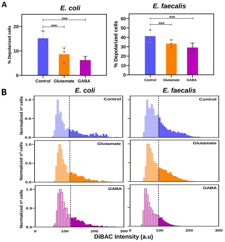 https://cdn.ncbi.nlm.nih.gov/pmc/blobs/c4ea/11172653/ee6bd2322f2d/ijms-25-06233-g003.jpg